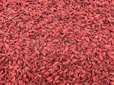 Goji Berry